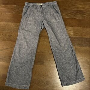 Pilcro & The Letterpress Wide-Leg Pants- 34”x32  -Blue/Grey